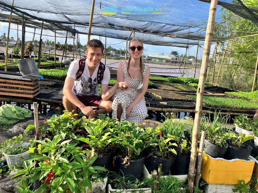 Group Tour: Floating Market, Rice Noodle, nursery vegatable - Dragon fruit and rural growing