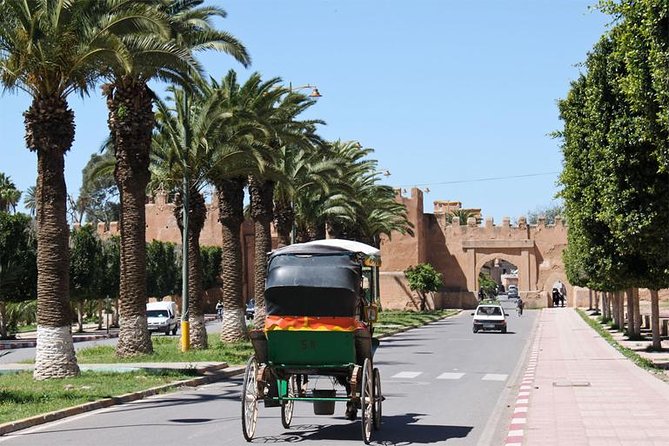 Guided Shared Day Trip Agadir to Marrakech medina & souks - Key points to know before booking