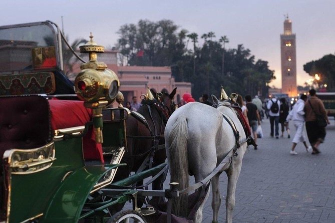 Guided Shared Day Trip Agadir to Marrakech medina & souks - What the guide adds to the day