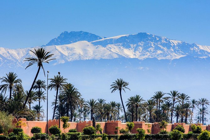 Guided Shared Day Trip Agadir to Marrakech medina & souks - Who will enjoy this day trip most