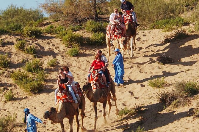 Guided Tour of Souk El Had in Agadir with a Certified Guide - Pickup, Timing, and Group Size