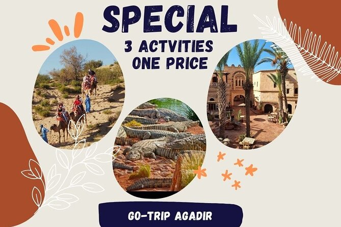 Guided Tour of Souk El Had in Agadir with a Certified Guide - A Guide Who Adds Local Context