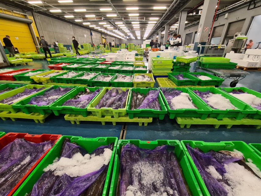 Guided visit to the Pasaia fish market - Key points at a glance