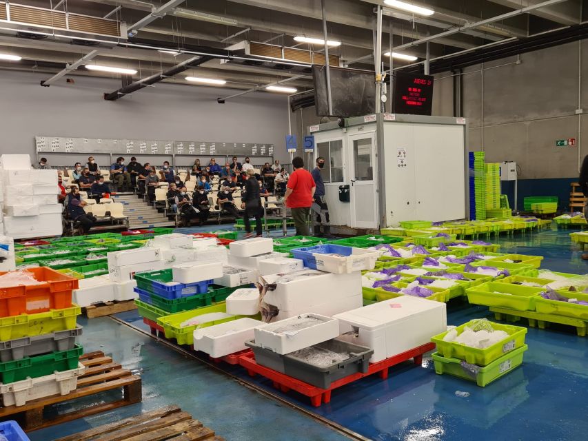 Guided visit to the Pasaia fish market - Following the catch from boat to fishmonger