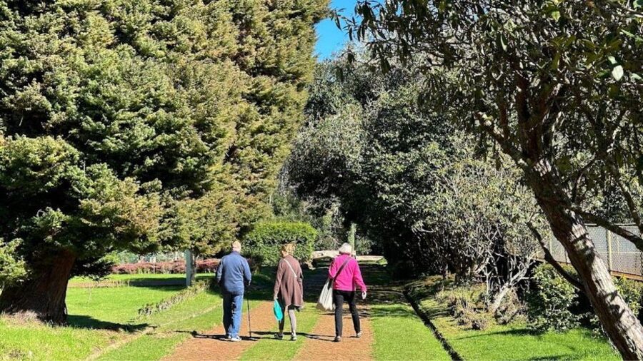 Half-Day Country Market Tour on Madeira Island - The road itself adds to the experience