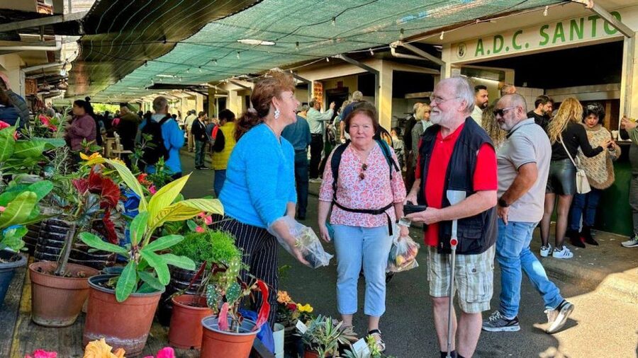 Half-Day Country Market Tour on Madeira Island - Cristo Rei ends the tour with the biggest view