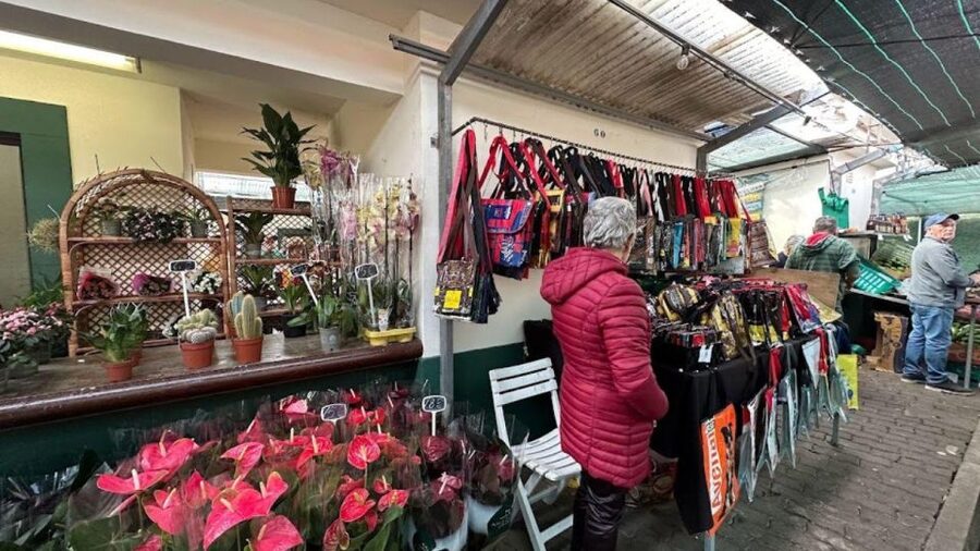 Half-Day Country Market Tour on Madeira Island - Is $29 good value for Madeira?