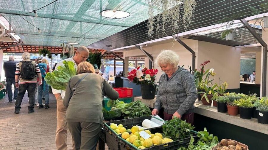 Half-Day Country Market Tour on Madeira Island - Santa Cruz gives you a quick taste of seaside Madeira