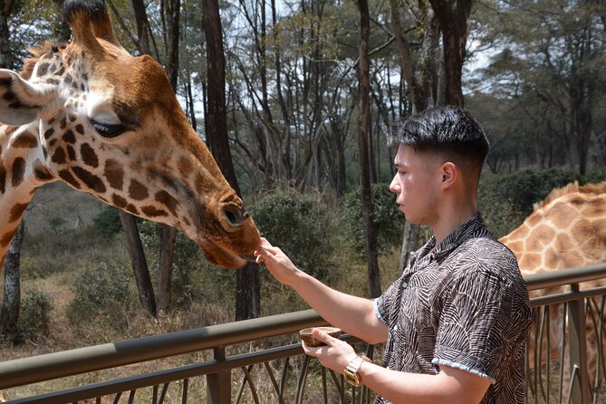 Half-Day Nairobi National Park and Maasai Market with Pick up - Timing, pickup, and the five-hour schedule