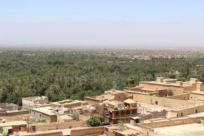 Half day tour : Agadir Goats in argan trees & Souk El Had Market - The Taroudant and Tiout question
