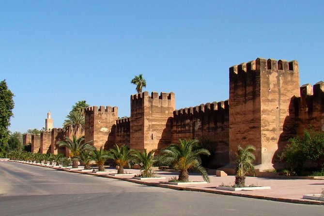 Half day tour : Agadir Goats in argan trees & Souk El Had Market - Who will get the most from this tour?