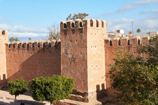 Half day tour : Agadir Goats in argan trees & Souk El Had Market - Booking details worth checking first