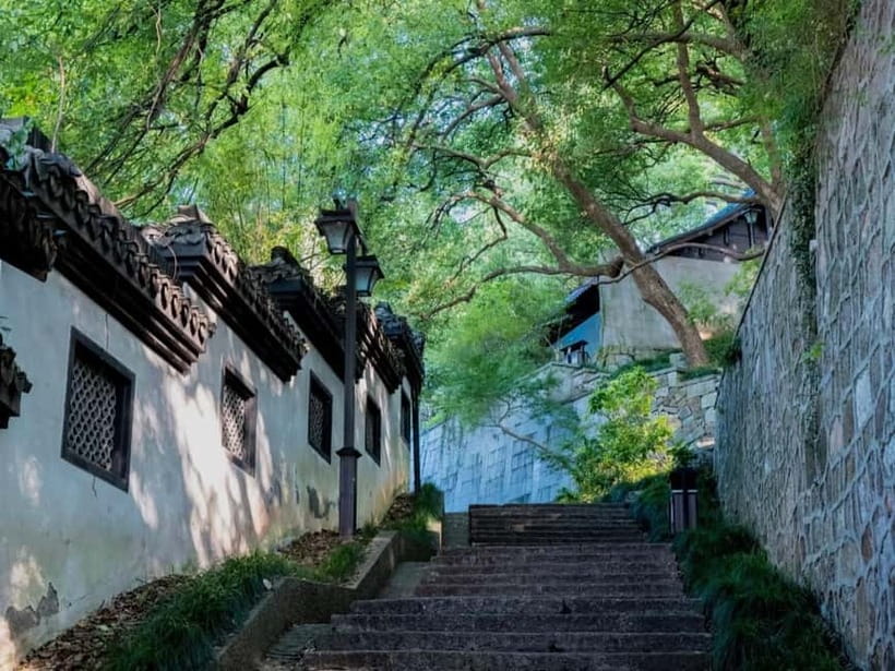 Hangzhou Insider Mini-Hike: TCM, Hill Views and Wet Market - Why this walk feels different from a standard Hangzhou tour