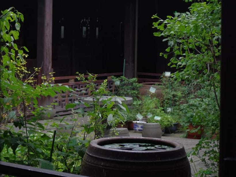 Hangzhou Insider Mini-Hike: TCM, Hill Views and Wet Market - Climbing Wu Shan through temples and local legends