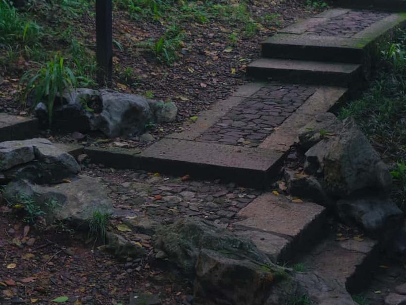 Hangzhou Insider Mini-Hike: TCM, Hill Views and Wet Market - Who should book this walk