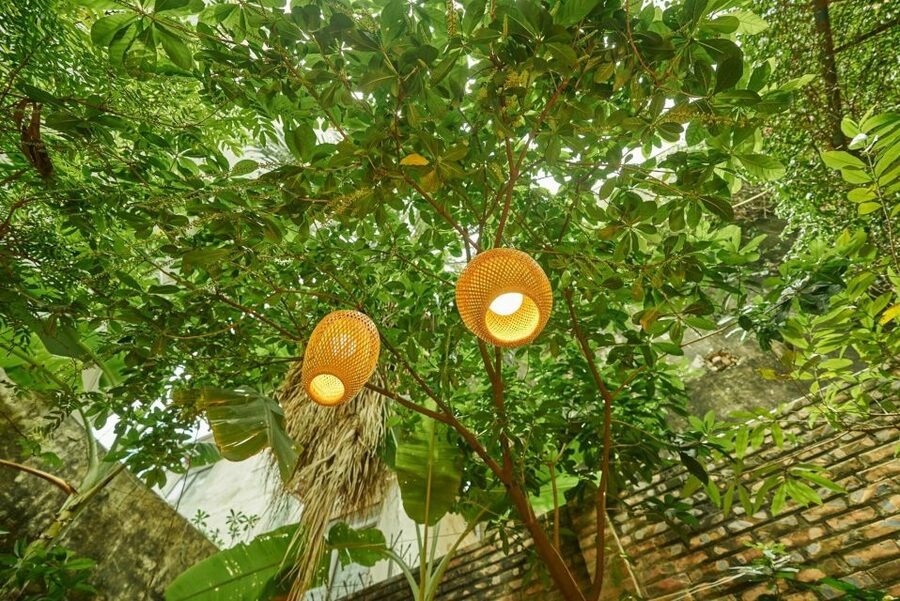 Hanoi’s Culinary: Authentic Cooking Class and Local Market - Vegan choices that go beyond basic substitutions