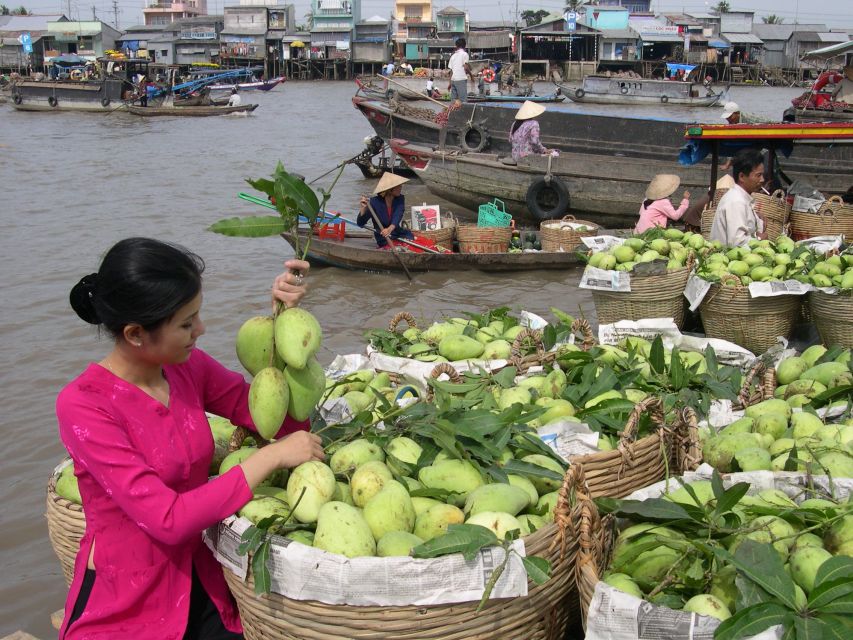 HCMC: Cai Rang Floating Market & Mekong Delta Private Tour - Key points to know before booking