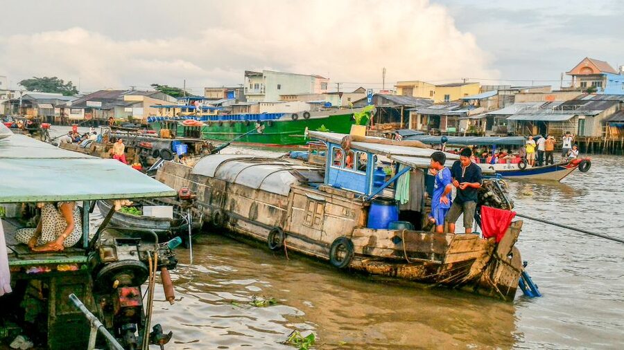 HCMC: Cai Rang Floating Market & Mekong Delta Private Tour - Who should book this Mekong Delta day?
