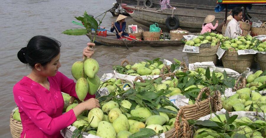 HCMC: Cai Rang Floating Market & Mekong Delta Private Tour - From market boats to the Mekong River at My Tho