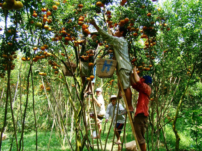 HCMC: Cai Rang Floating Market & Mekong Delta Private Tour - Vietnamese lunch, with a vegan option