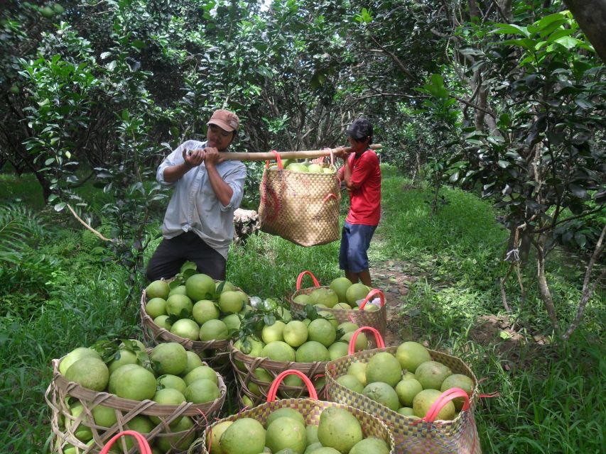 HCMC: Cai Rang Floating Market & Mekong Delta Private Tour - Guides and the quality of the day