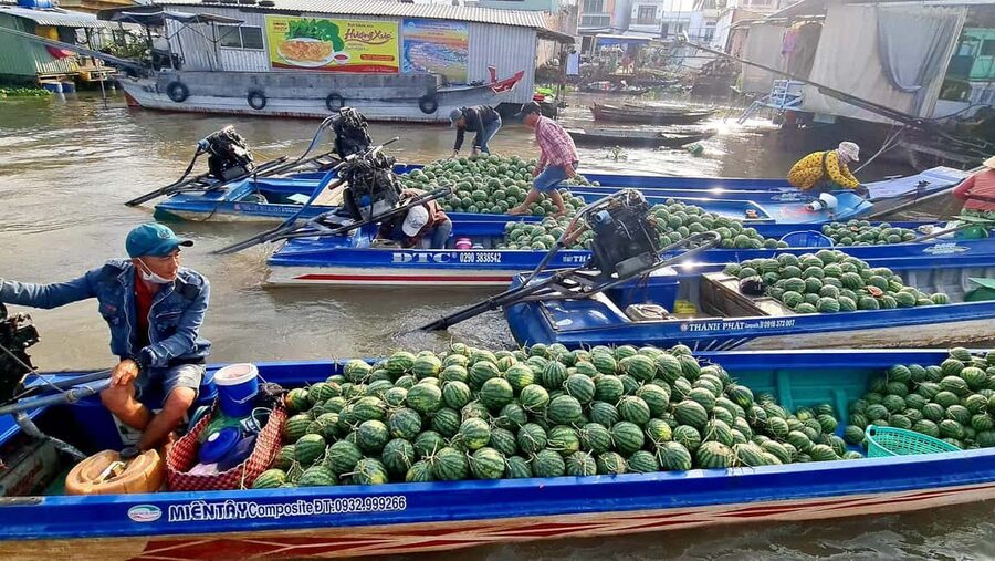 HCMC: Mekong Delta 2-Days My Tho–Ben Tre & Cai Rang Market - The transfer to Can Tho and the overnight stay
