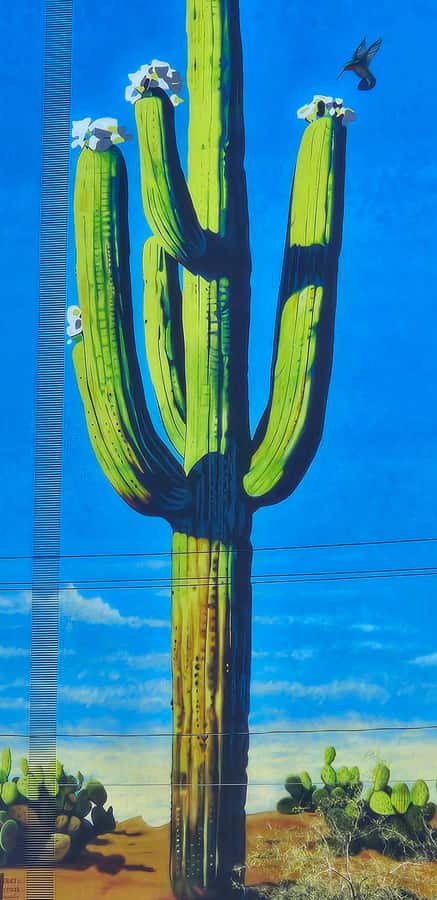Historic Tucson Walking Tour - Hotel Congress and Tucson’s ghost stories