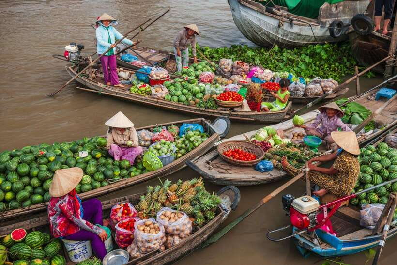 Ho Chi Minh City: Cai Rang Floating Market in Can Tho Tour - Gardens, fruit, and the monkey bridge