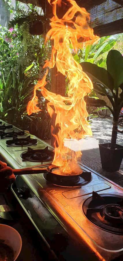 Hoi An: Cooking Class in Coconut Jungle with Market Tour - Key points to know before booking