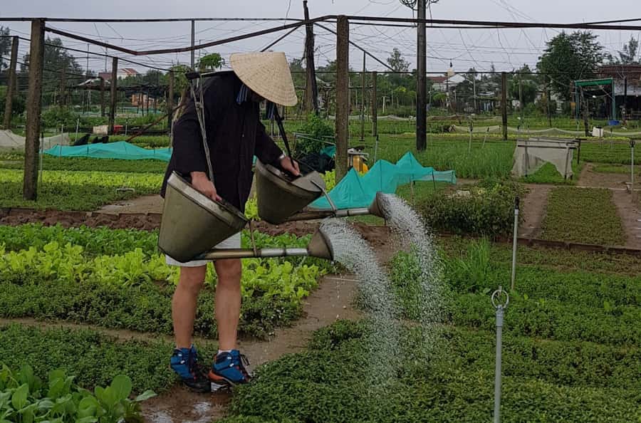 Hoi An Cooking Class With Market and Bamboo Basket Boat Tour - A food day that begins before the kitchen