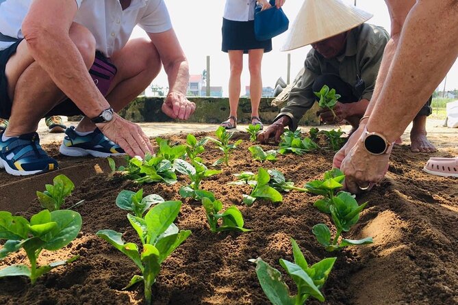 Hoi An Local Market and Vegetable Village Cooking Class - Cam Thanh cooking class with Chef Hai