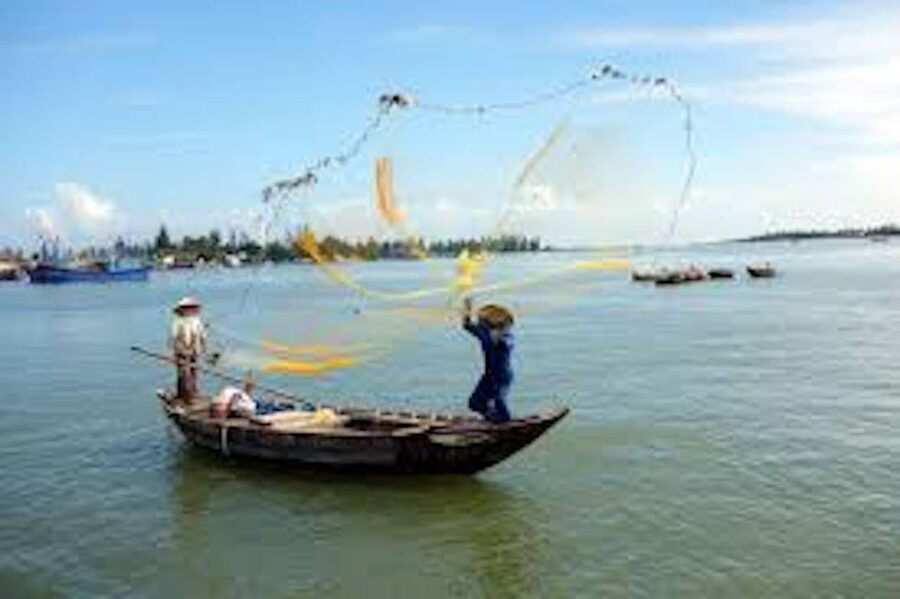 Hoi An: Market tour - Cam Thanh Cooking Class & Basket Boat - Group size, timing, and comfort