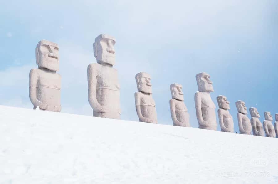 Hokkaido Sapporo :Hill of Buddha, Beer Museum & Fish Market - Key points to know before you book