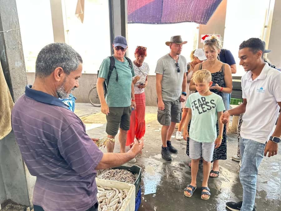 Hurghada: City Guided Tour with Local Market Stop - What makes this short Hurghada tour useful