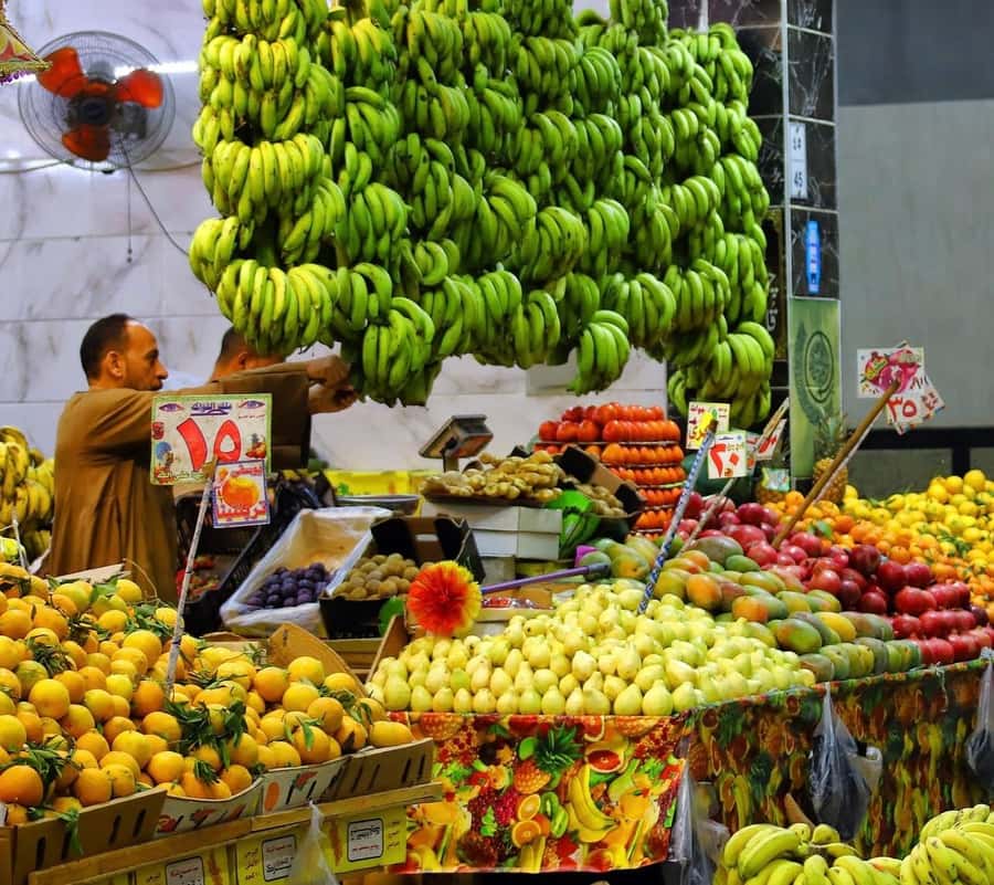 Hurghada: City Guided Tour with Local Market Stop - Hurghada Marina and the harbor