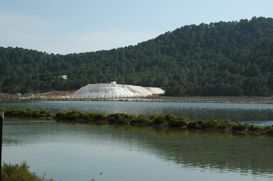 Ibiza: Full-Day Excursion and Visit to a Hippy Market - Sant Francesc de s’Estany and the southern salt flats