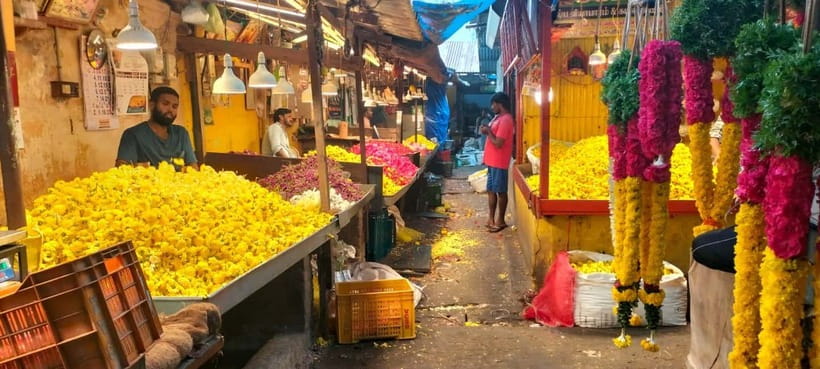 Indian Cooking & Market Tour in Pondicherry with Manisha Ray - Goubert Market: learn the ingredients before you cook them