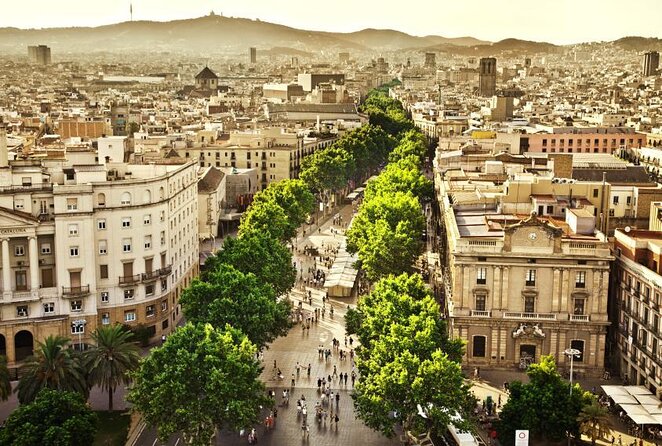 Interactive Paella & Market: Bottomless Wine & Rambla Views - Key points at a glance