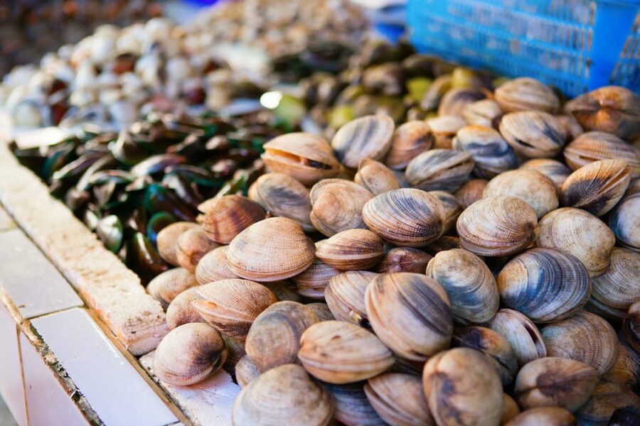 Ischia: Market Tour & Cooking Class at a Local's Home - Shopping with a host who knows the island’s food