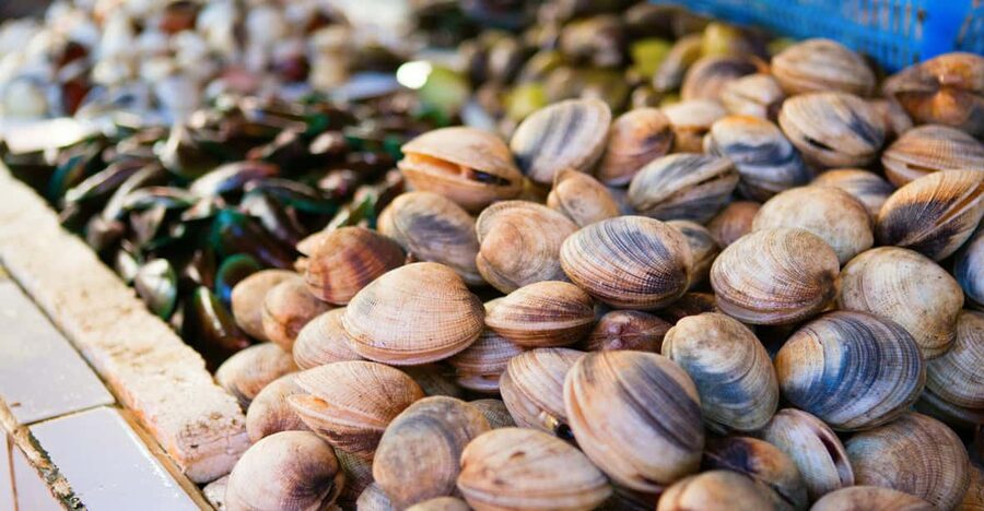 Ischia: Market Tour & Cooking Class at a Local's Home - A meal made by your own hands