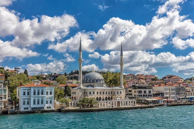 Istanbul Shore Excursion: Small-Group Bosphorus Cruise and Istanbul Egyptian Bazaar - Who should book this shore excursion