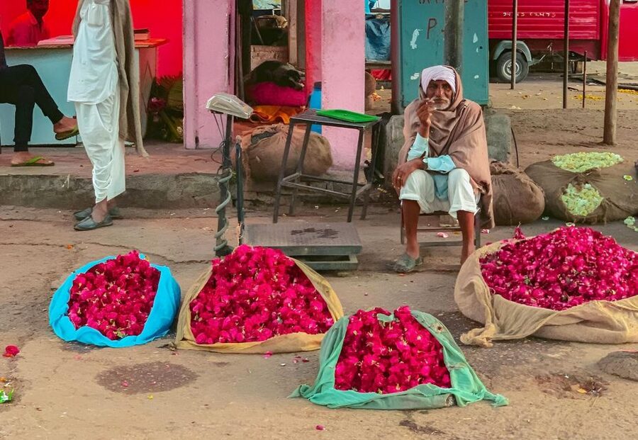 Jaipur: Half-Day Guided Sightseeing Tour with Flower Market - Key points at a glance