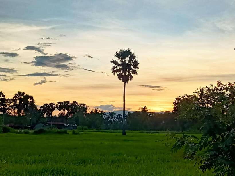 Kampot Countryside include Pepper farm,Kep crab market beach - Why this day gives you more than a standard Kampot outing