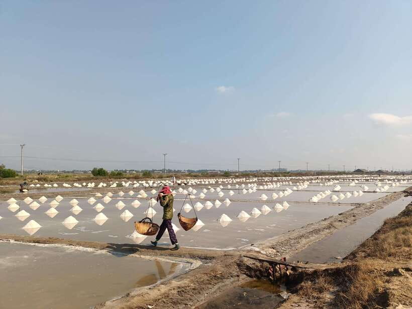 Kampot Countryside include Pepper farm,Kep crab market beach - Kep Crab Market, seafood, and a final swim