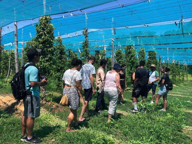Kampot Pepper Farm, Salt Fields, Crab Market from Phnom Penh - Seeing how Kampot salt is made