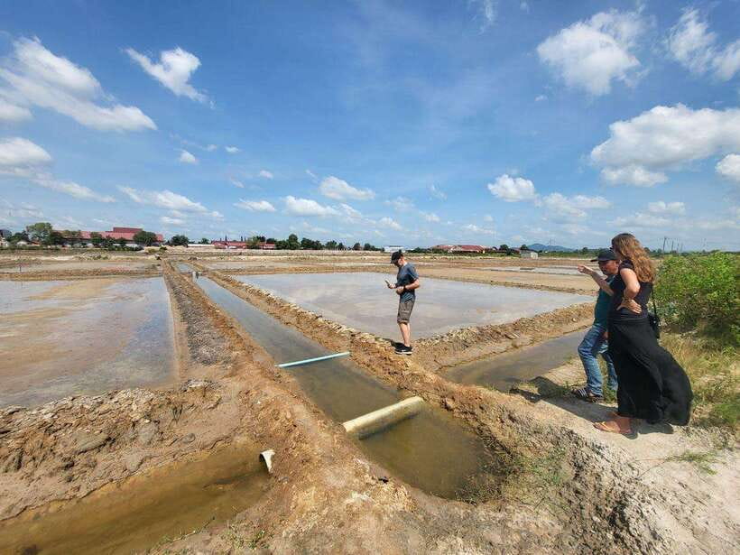 Kampot Pepper Farm, Salt Fields, Crab Market from Phnom Penh - What the $87 price really covers