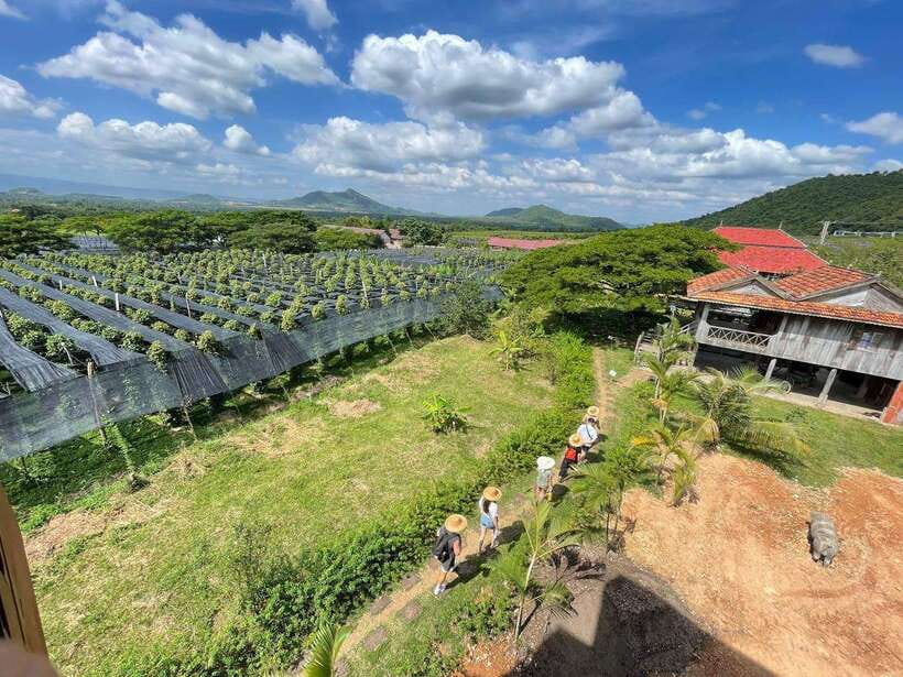 Kampot Pepper Farm, Salt Fields, Crab Market from Phnom Penh - Who will enjoy this experience most