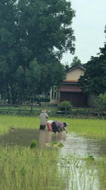 Kampot Pepper & Kep/Crab Market Tours: Salt, Secret lake - Kep’s Crab Market and the lunch decision