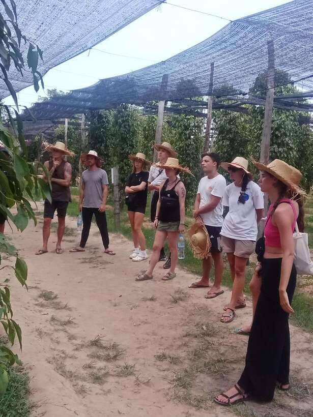 Kampot: Tuk Tuk Trip to Pepper Farm, Kep, Crab Market & More - The countryside ride is part of the sightseeing