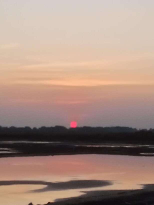 Kampot: Tuk Tuk Trip to Pepper Farm, Kep, Crab Market & More - Is $25 good value?